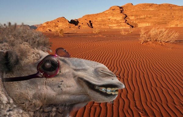 Creation of Ugly Betty of the Desert: Step 7